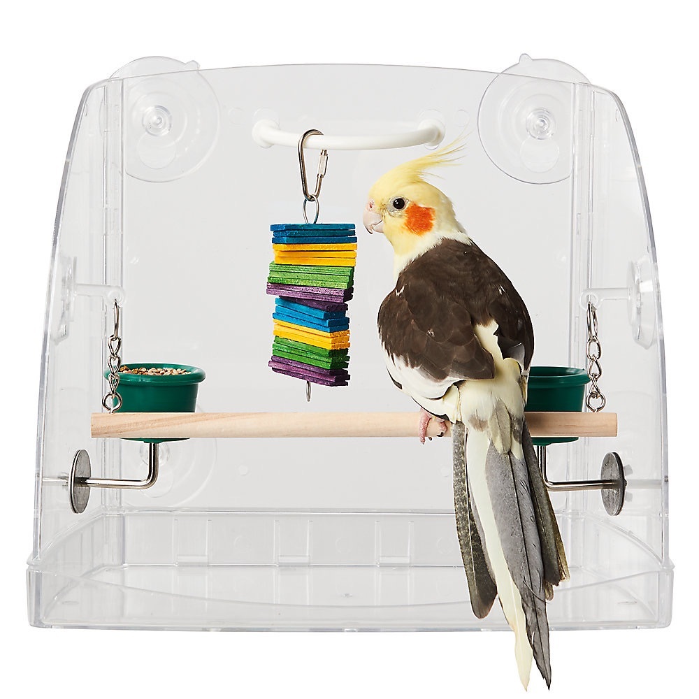 Bird Window Play Perch
